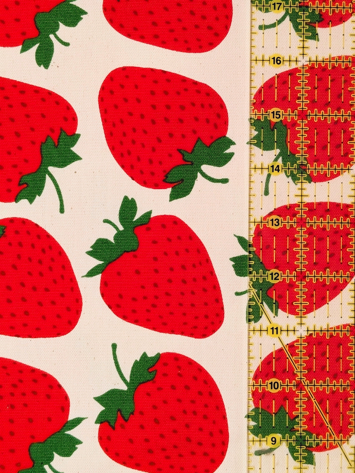 Sevenberry - Big Strawberries Oxford Canvas Cotton Fabric - Red & Beige