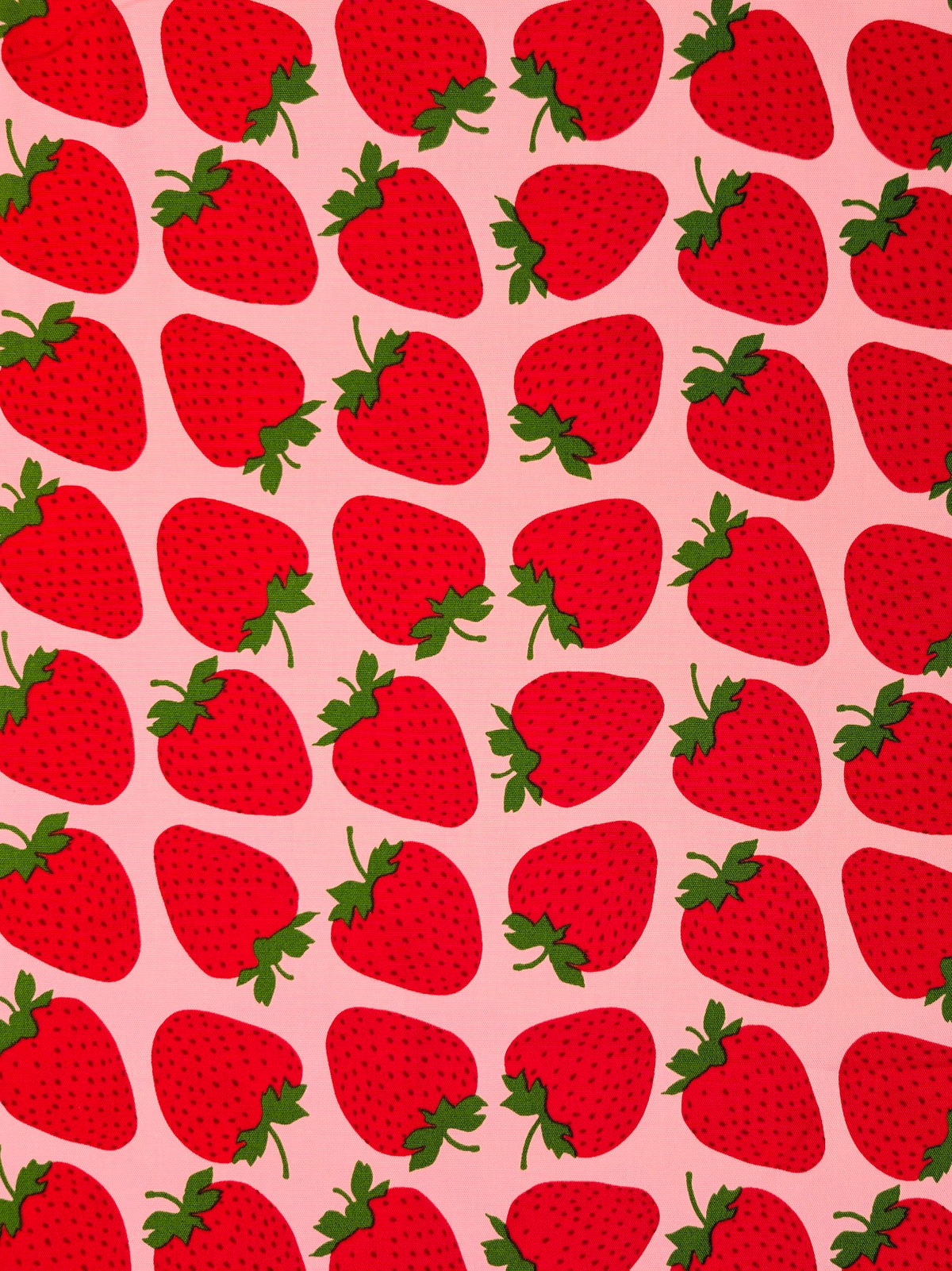 Sevenberry - Big Strawberries Oxford Canvas Cotton Fabric - Red & Pink