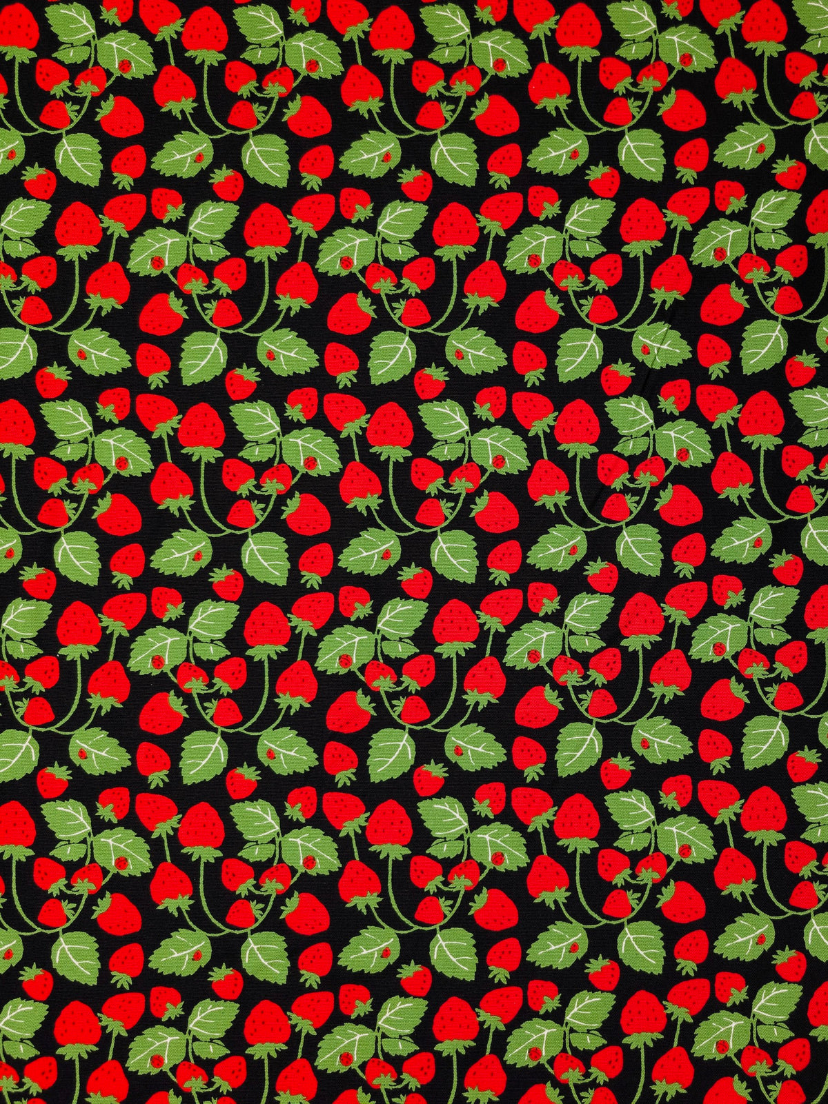 Sevenberry - Vining Strawberries Oxford Canvas Cotton Fabric - Red & Black