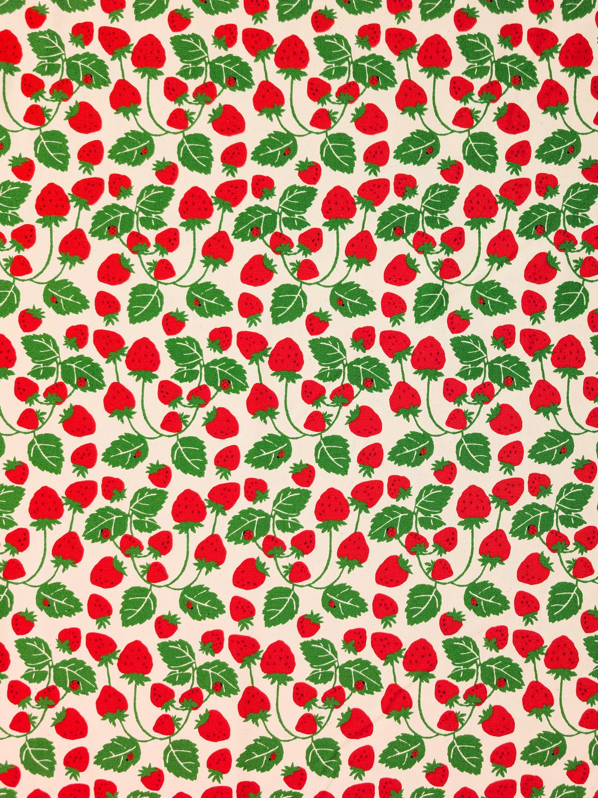 Sevenberry - Vining Strawberries Oxford Canvas Cotton Fabric - Red & Beige