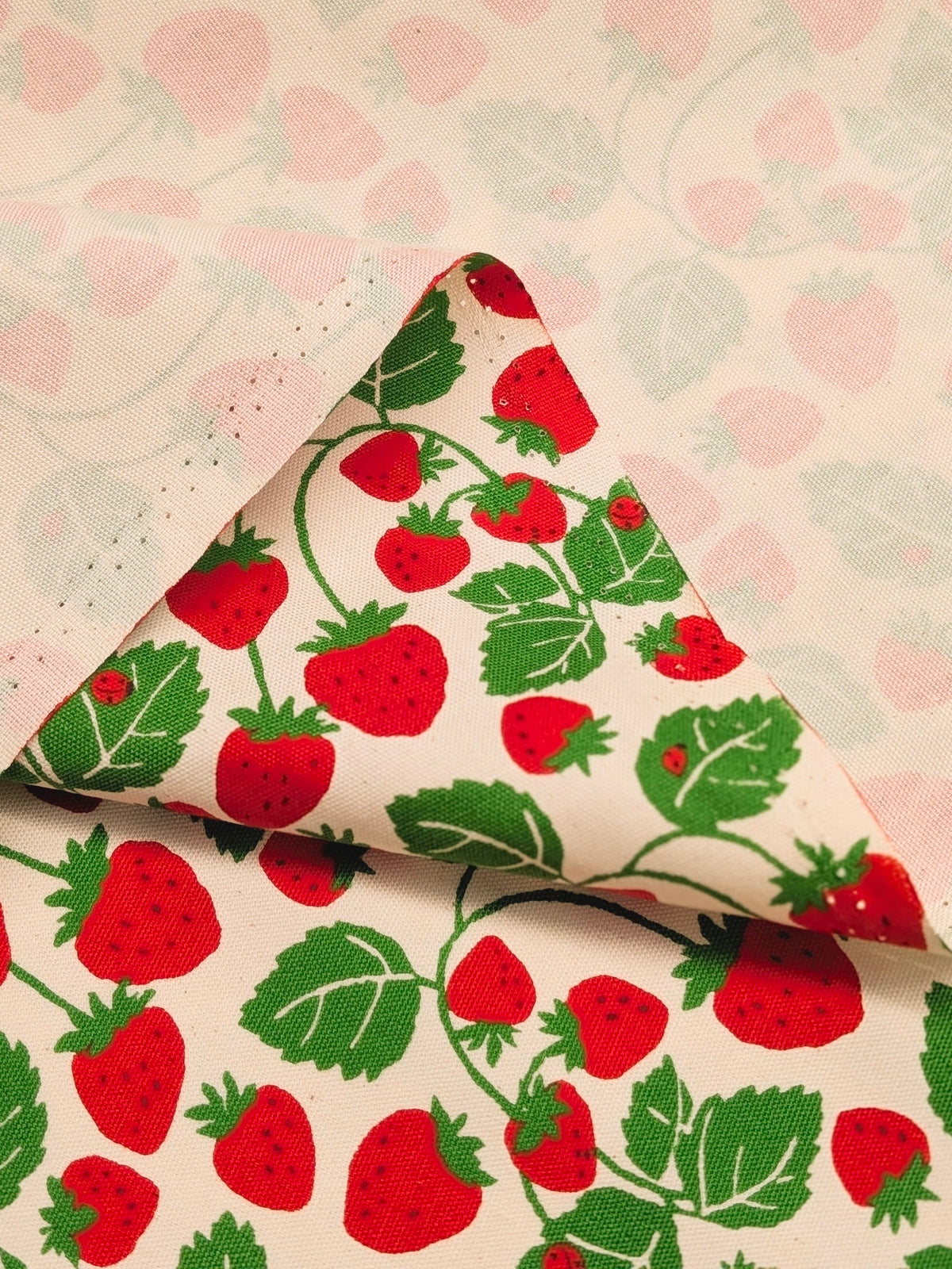 Sevenberry - Vining Strawberries Oxford Canvas Cotton Fabric - Red & Beige