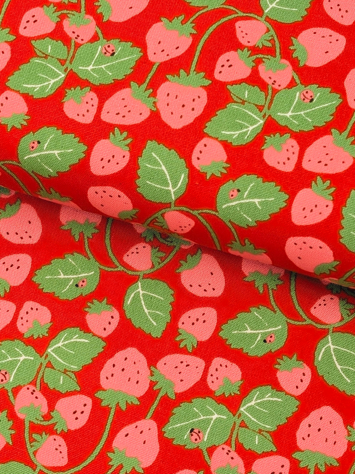 Sevenberry - Vining Strawberries Oxford Canvas Cotton Fabric - Pink & Red