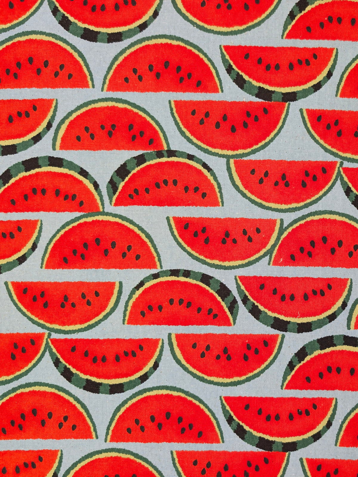 Sevenberry - Watermelon Slices Cotton Linen Oxford Canvas - Blue
