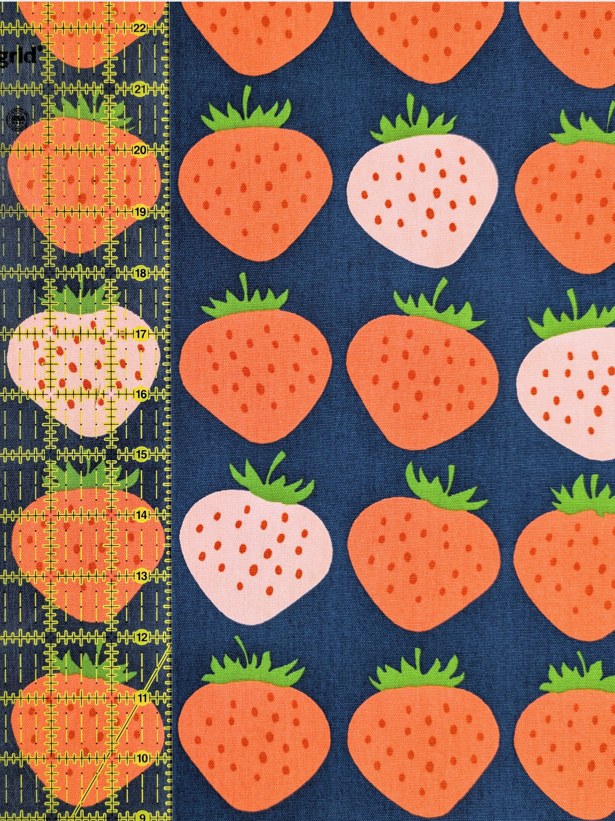 Asano - Big Strawberries Cotton Oxford Canvas Fabric - Navy & Pink REMNANT