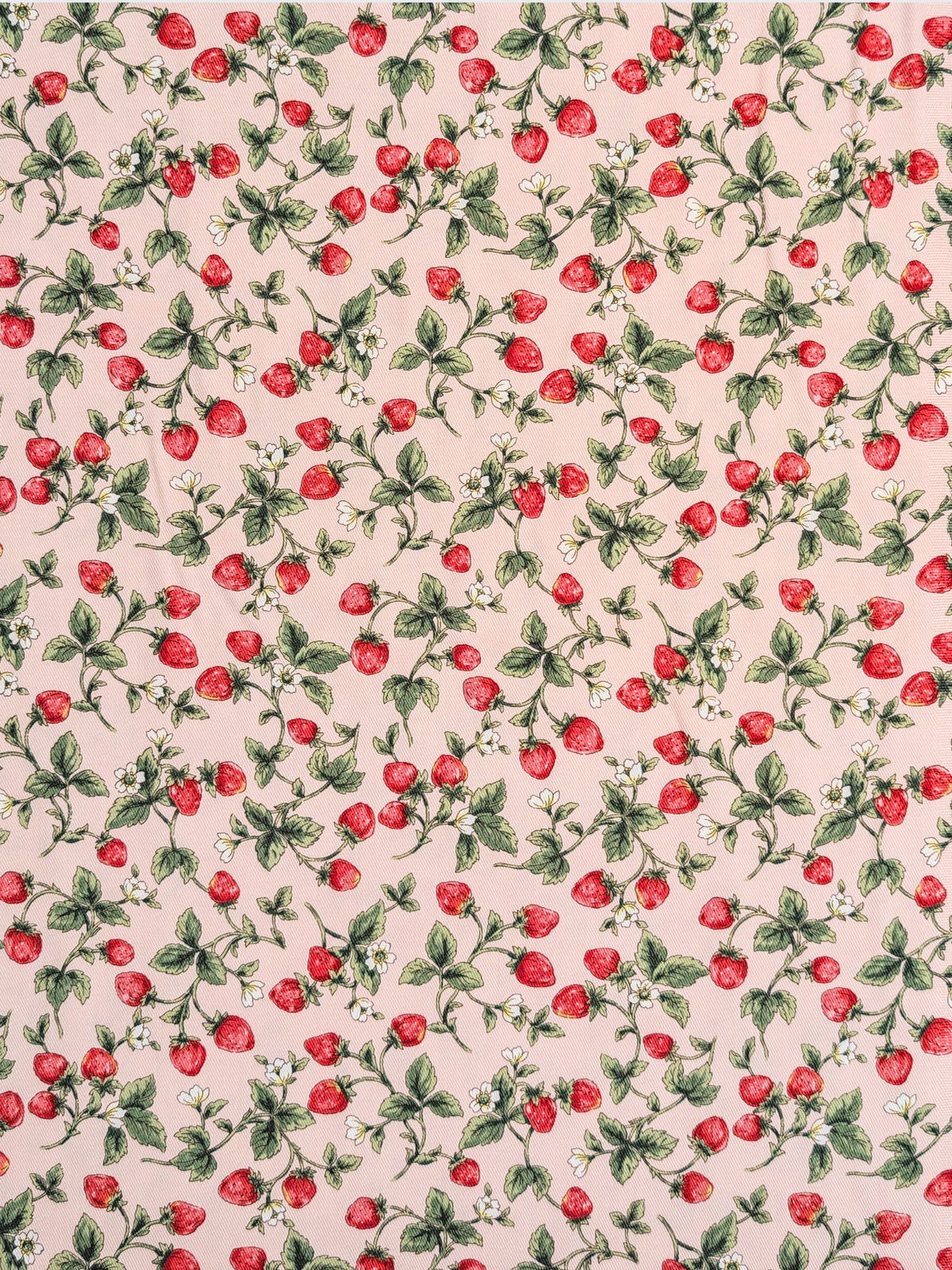 Kobayashi - Vining Strawberries Cotton Oxford Twill Fabric - Pink