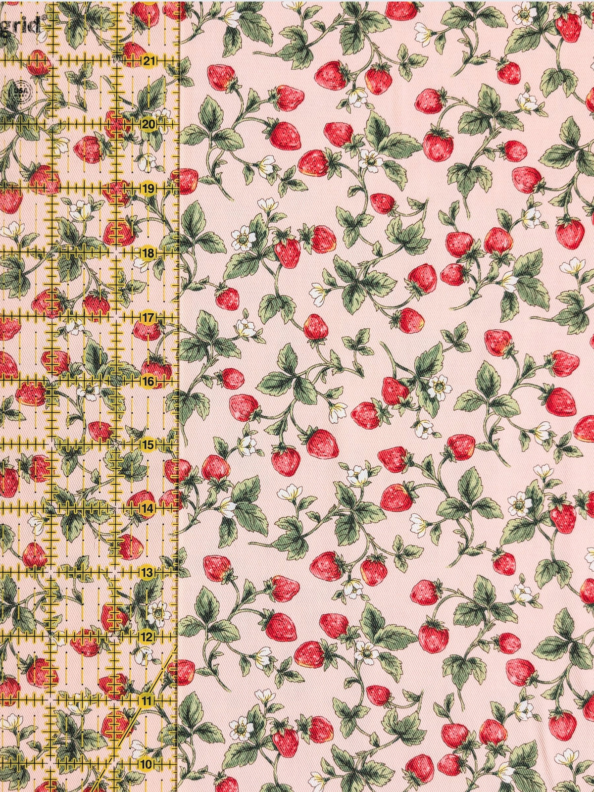 Kobayashi - Vining Strawberries Cotton Oxford Twill Fabric - Pink