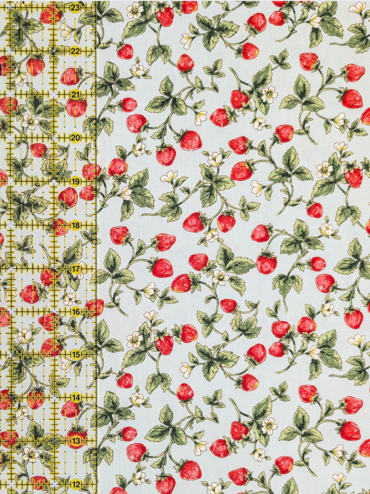 Kobayashi - Vining Strawberries Cotton Oxford Twill Fabric - Mint