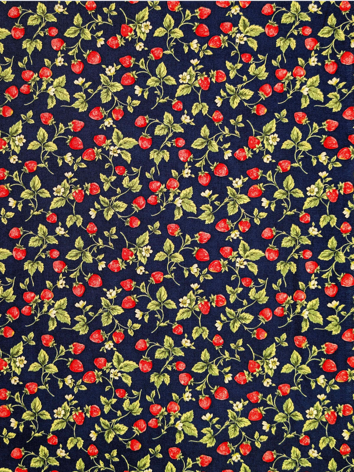 Kobayashi - Vining Strawberries Cotton Oxford Twill Fabric - Navy