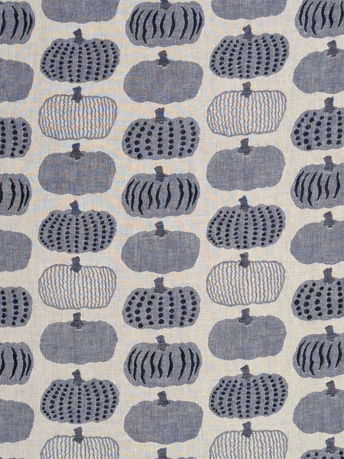 Kobayashi - Pumpkin Double Sided Jacquard Cotton Fabric - Blue & Beige