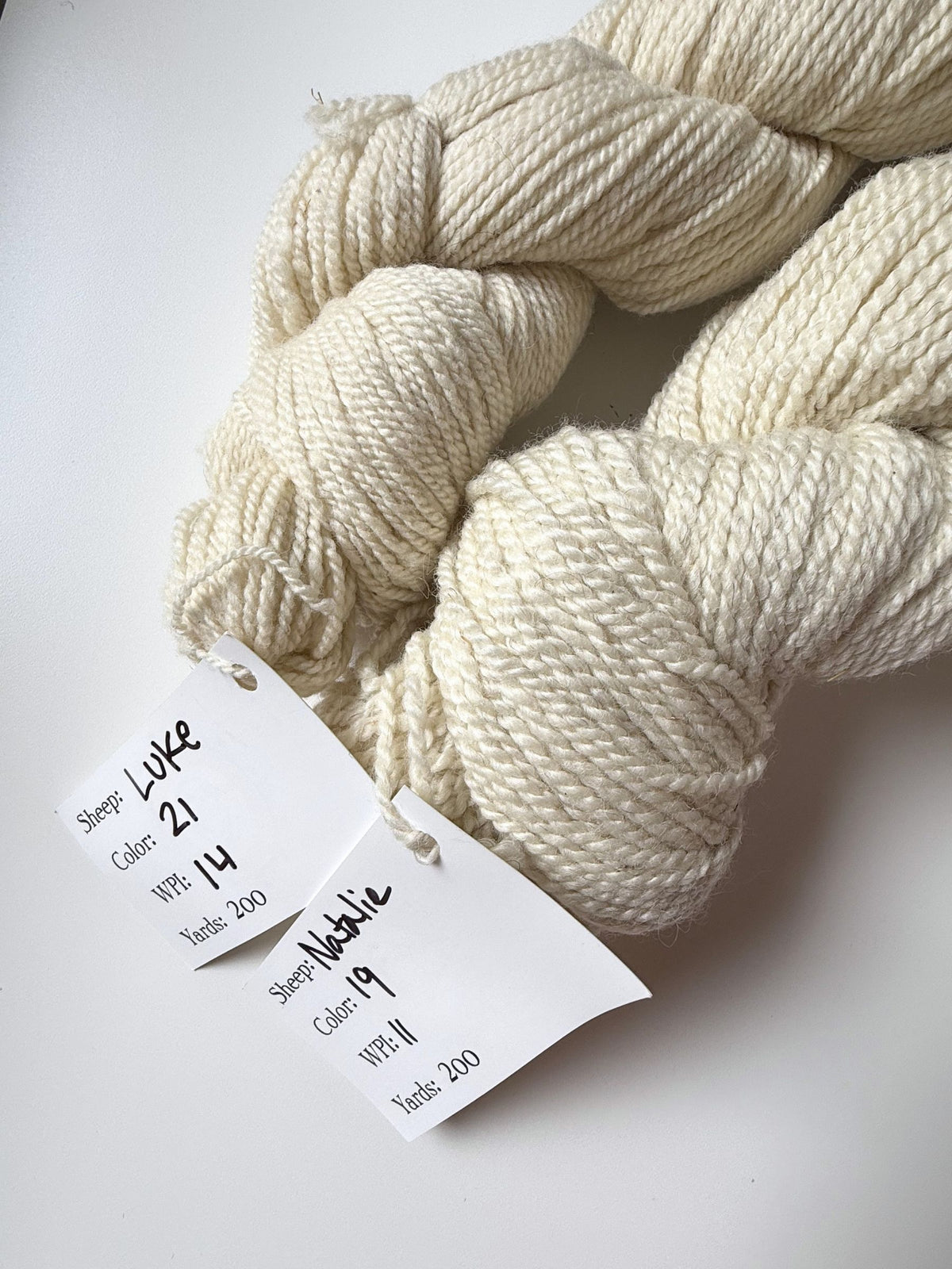 Spoiled Sheep - Wensleydale/Rambouillet Wool Yarn 200yd - Natalie #19 Natural White