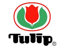 Tulip - Knina Swivel Circular Knitting Needles 16" (40cm) Cord - Bamboo