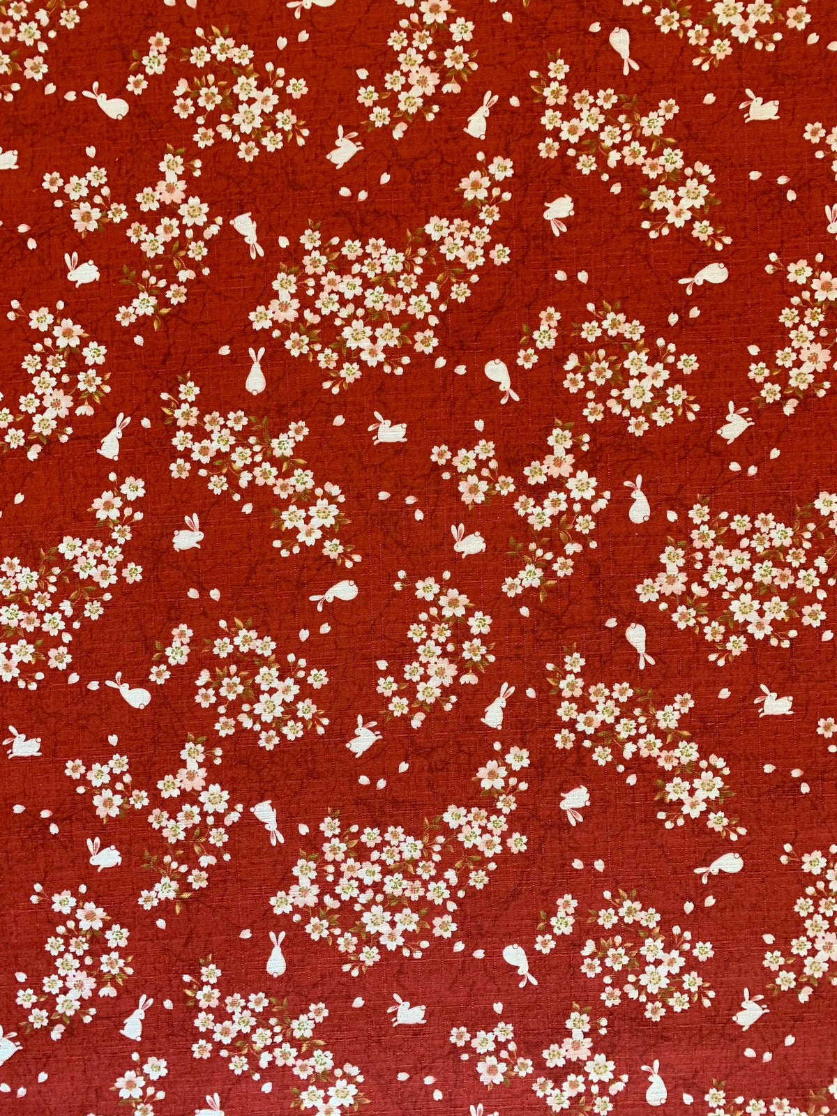 Usagi Sakura Rabbit Cherry Blossom Morikiku Japanese cotton dobby fabric M-1100-1D red