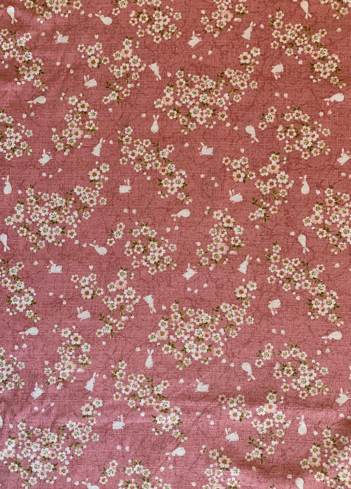 Usagi Sakura Rabbit Cherry Blossom Morikiku Japanese cotton dobby fabric M-1100-1B pink