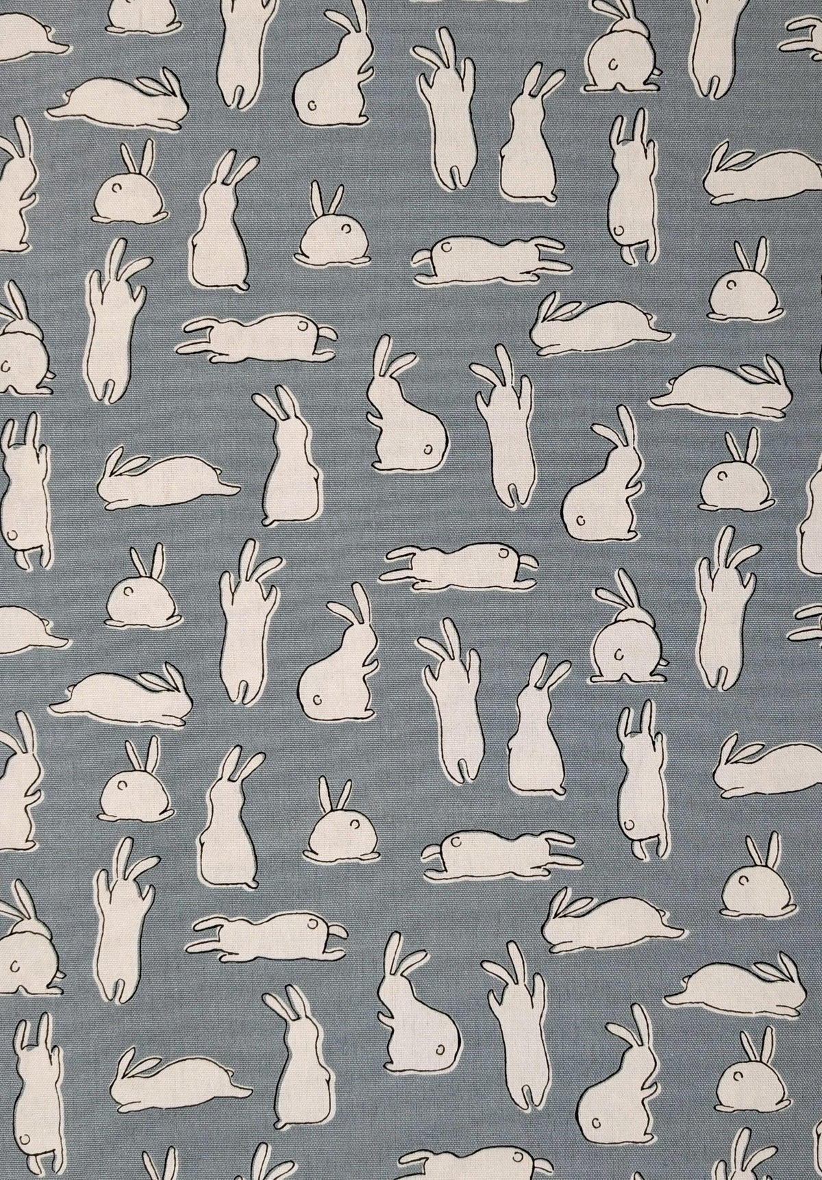 Hishiei - White Rabbits Cotton Oxford - Blue