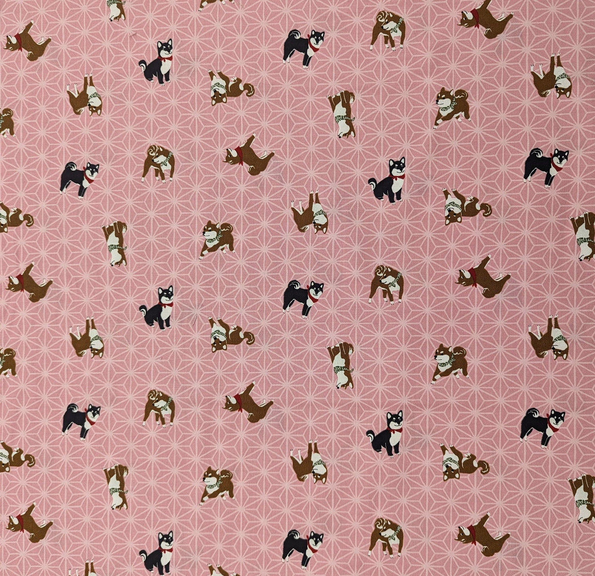 Hishiei - Asanoha Shibas Cotton Fabric - Pink