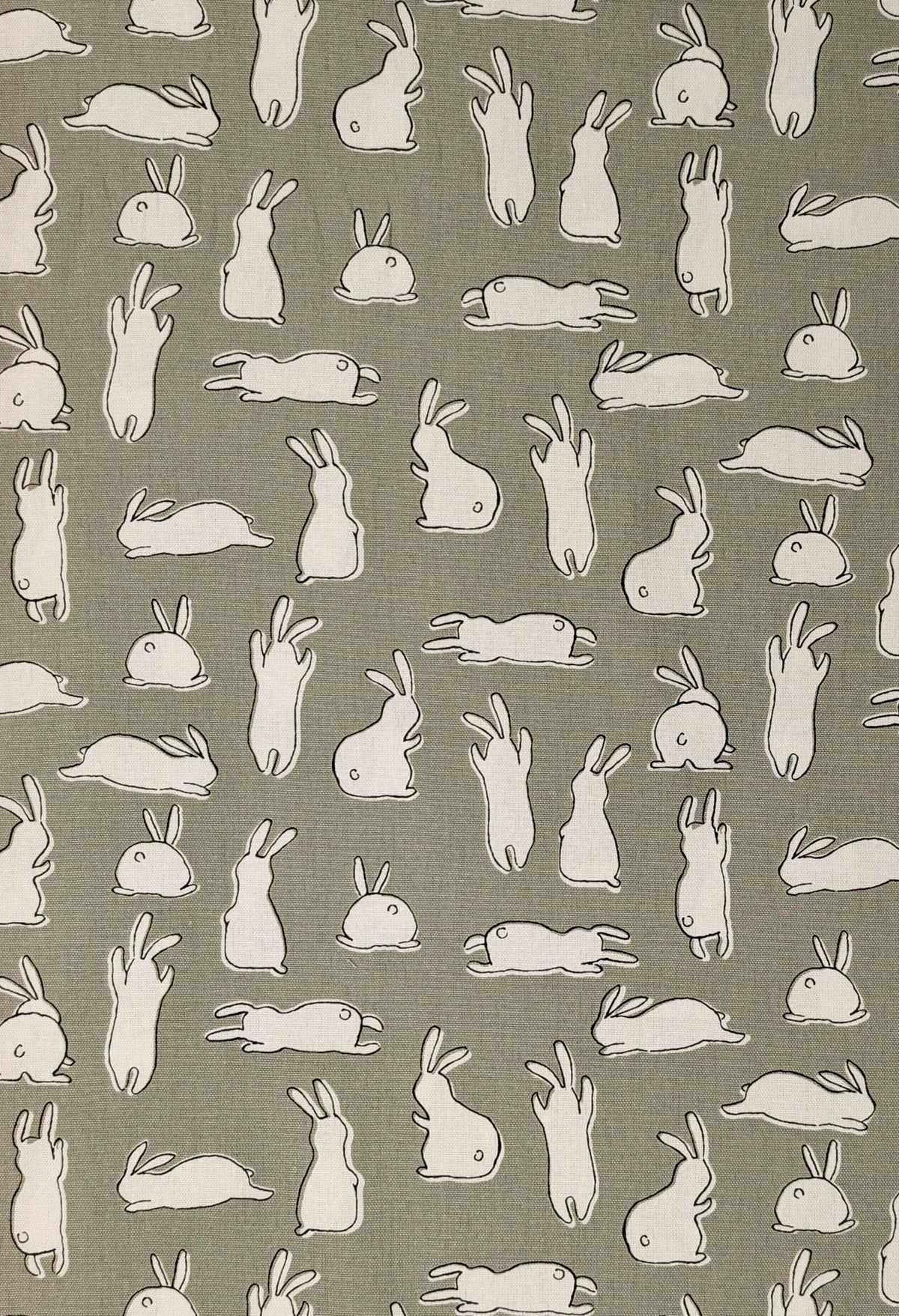Hishiei - White Rabbits Cotton Oxford - Green