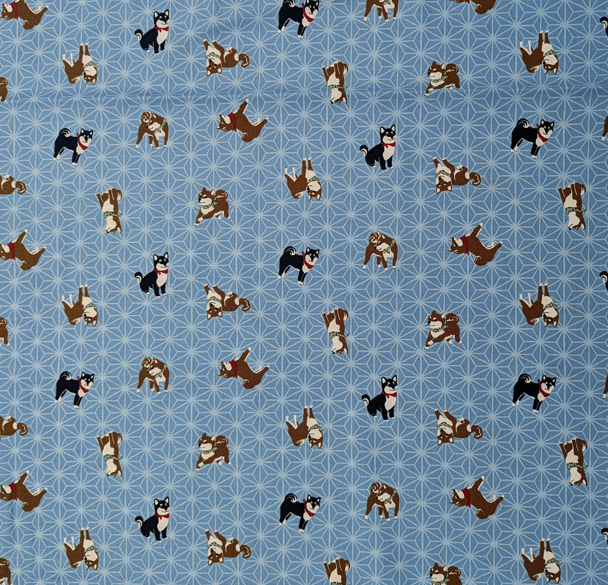 Hishiei - Asanoha Shibas Cotton Fabric - Light Blue