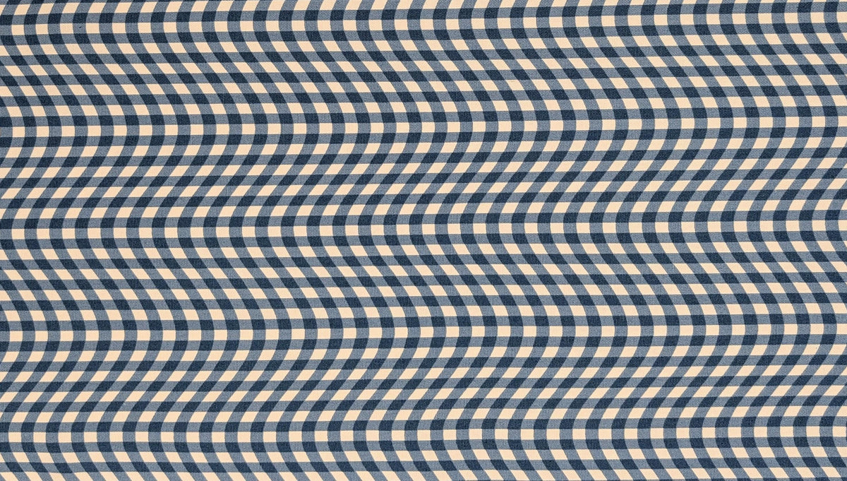 Hishiei - Warped Gingham Cotton Oxford Canvas - Blue