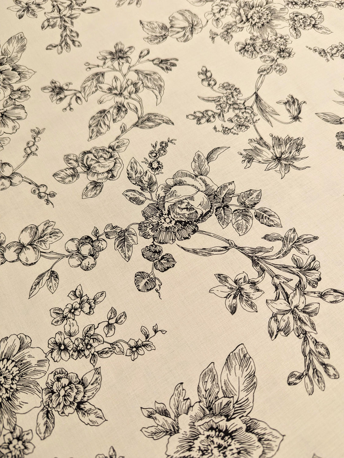 Hokkoh - Botanical Sketch Organic Cotton Lawn - Beige and Black