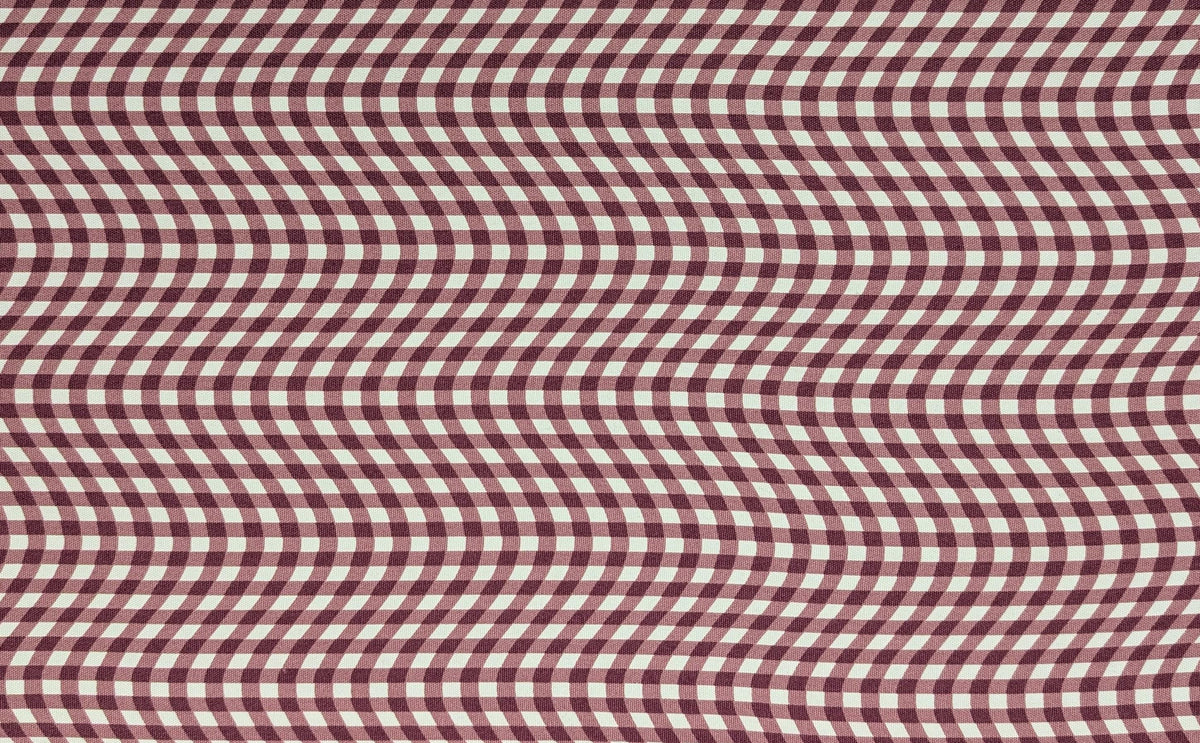Hishiei - Warped Gingham Cotton Oxford Canvas - Pink