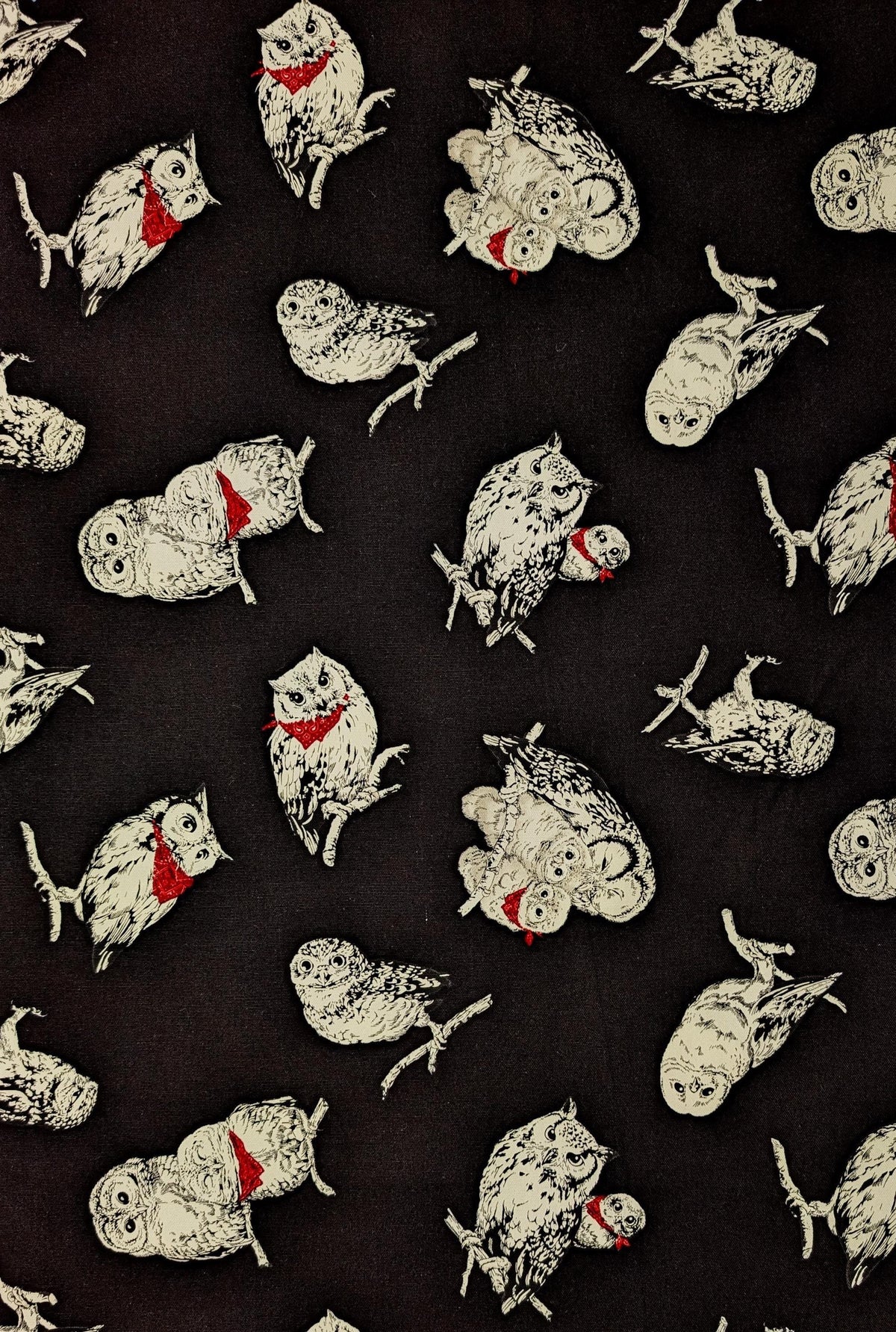 Cosmo - Owls in Bandanas Cotton Oxford - Black
