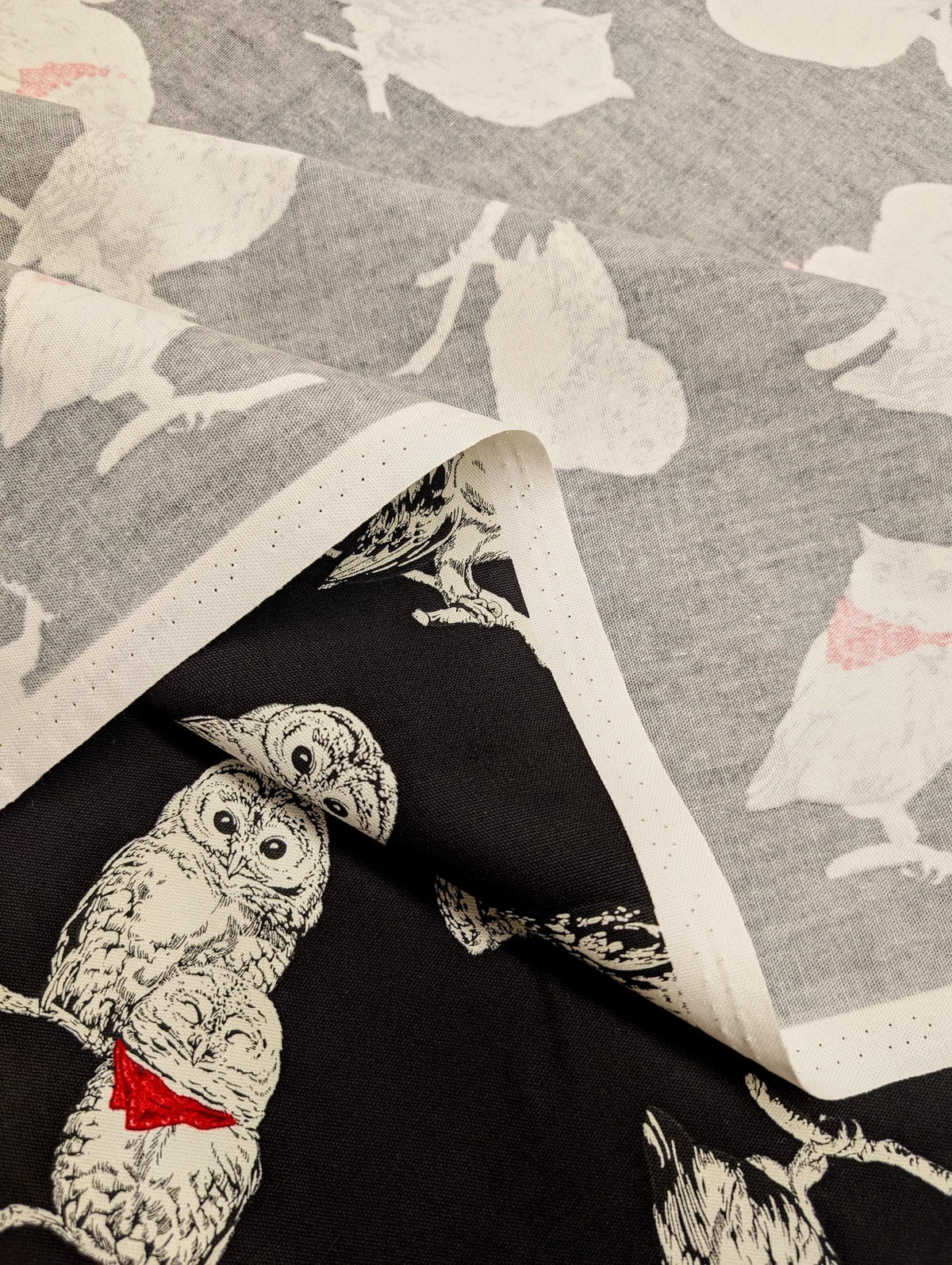 Cosmo - Owls in Bandanas Cotton Oxford - Black