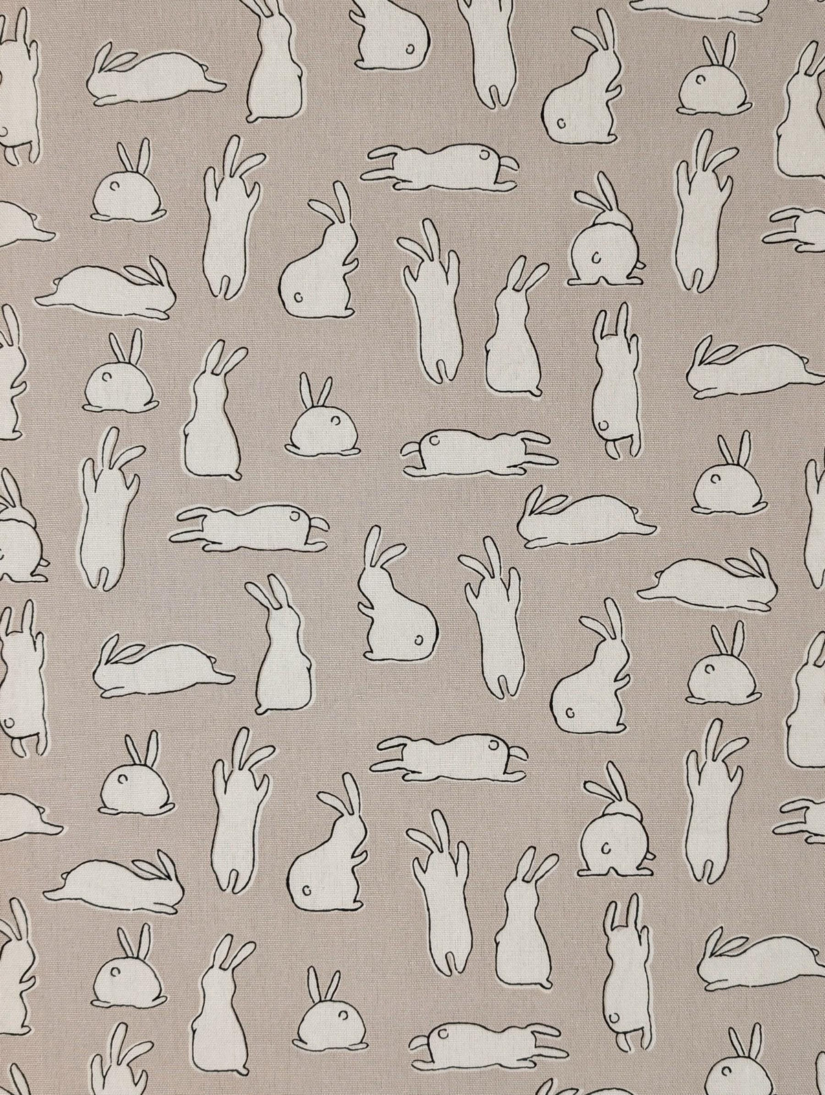Hishiei - White Rabbits Cotton Oxford - Beige