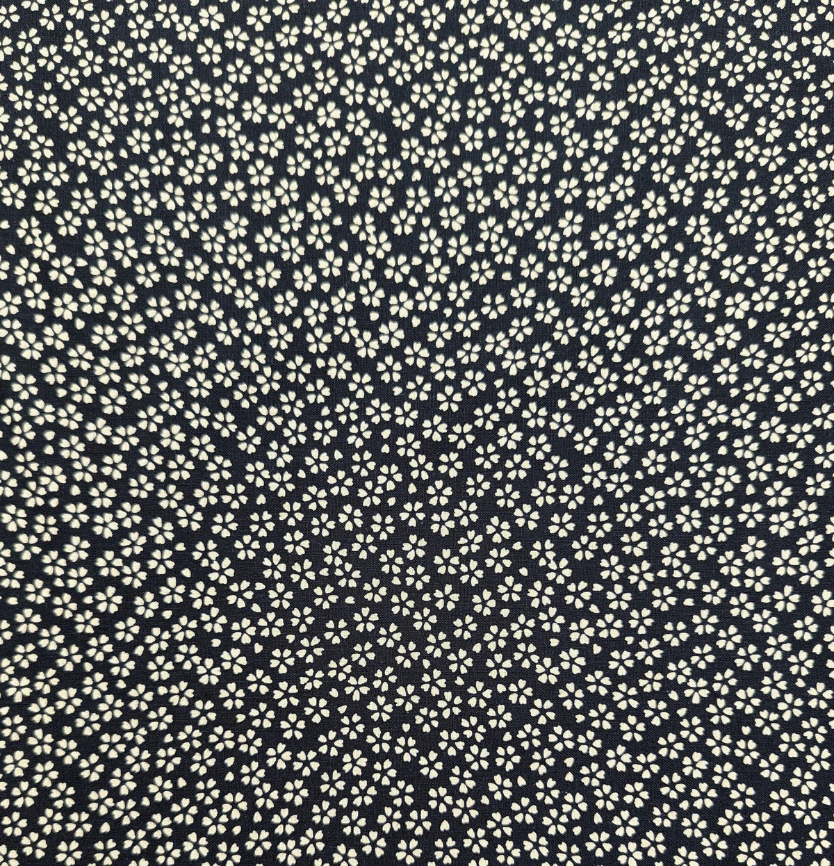 Sevenberry - Cherry Blossom Cotton Fabric - Black