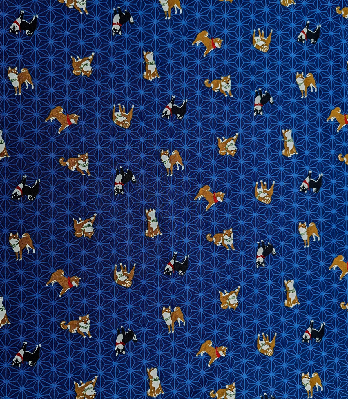 Hishiei - Asanoha Shibas Cotton Fabric - Navy