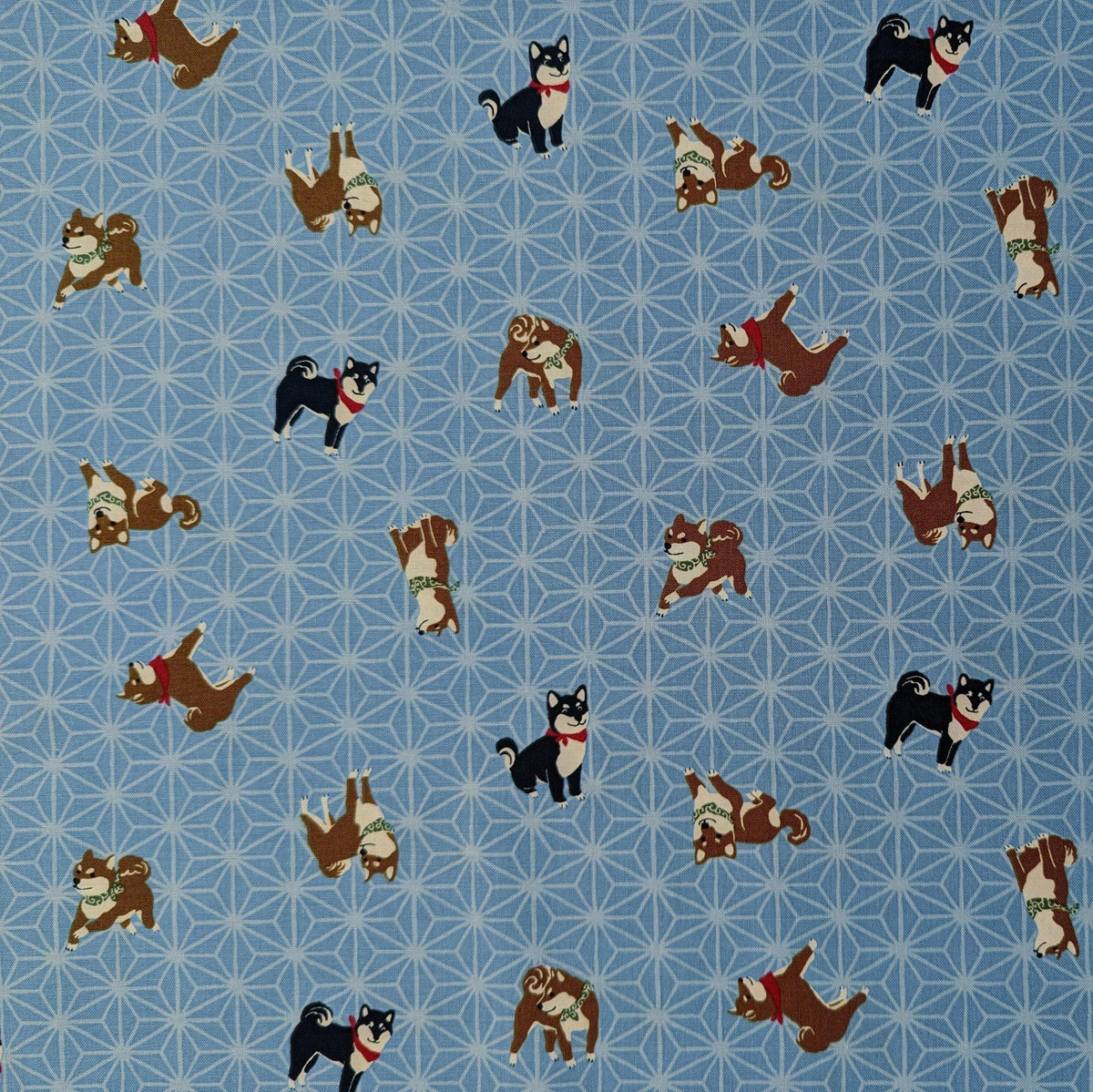 Hishiei - Asanoha Shibas Cotton Fabric - Light Blue