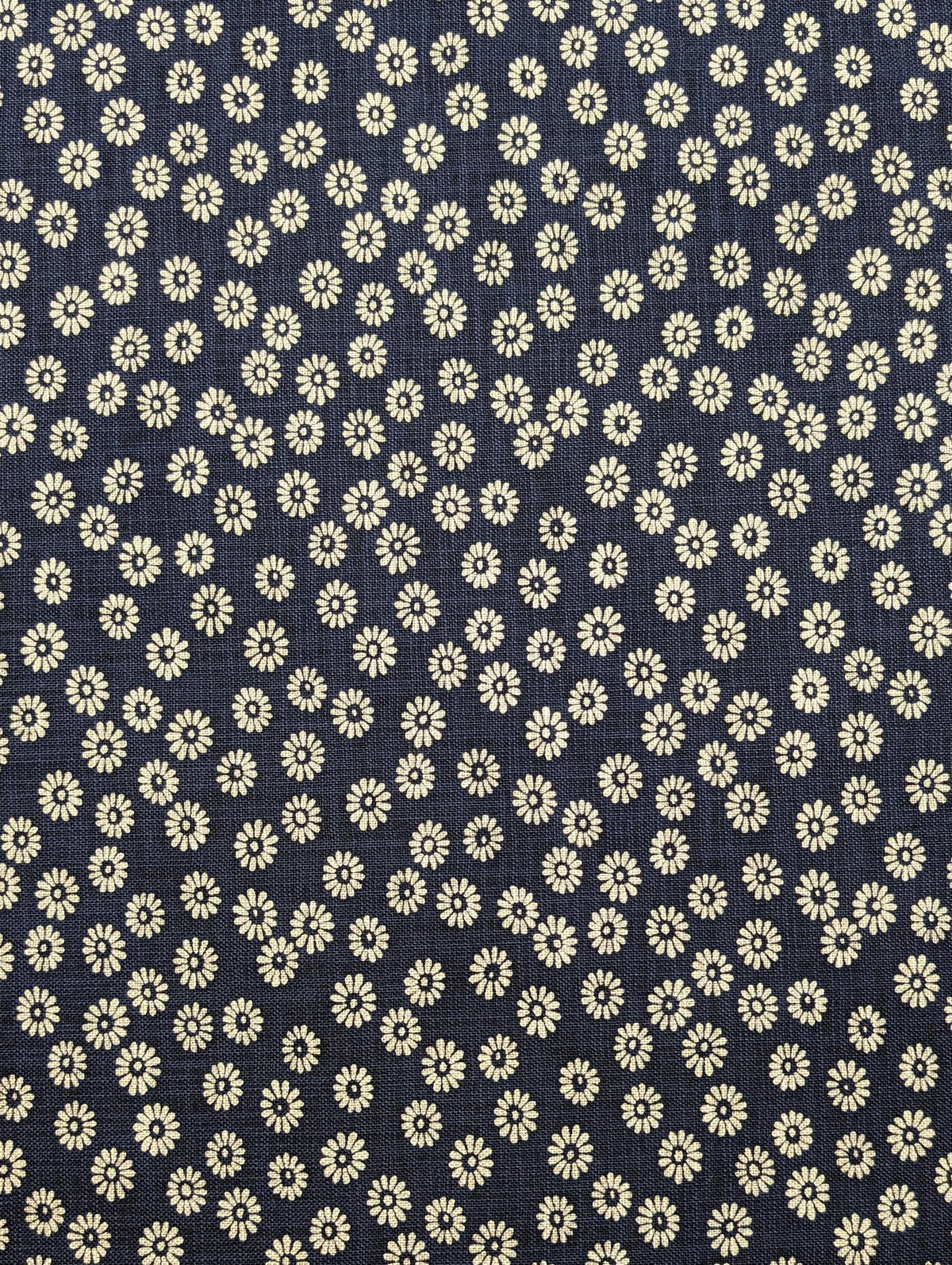 Sevenberry - Daisies Cotton Fabric - Navy Blue Beige