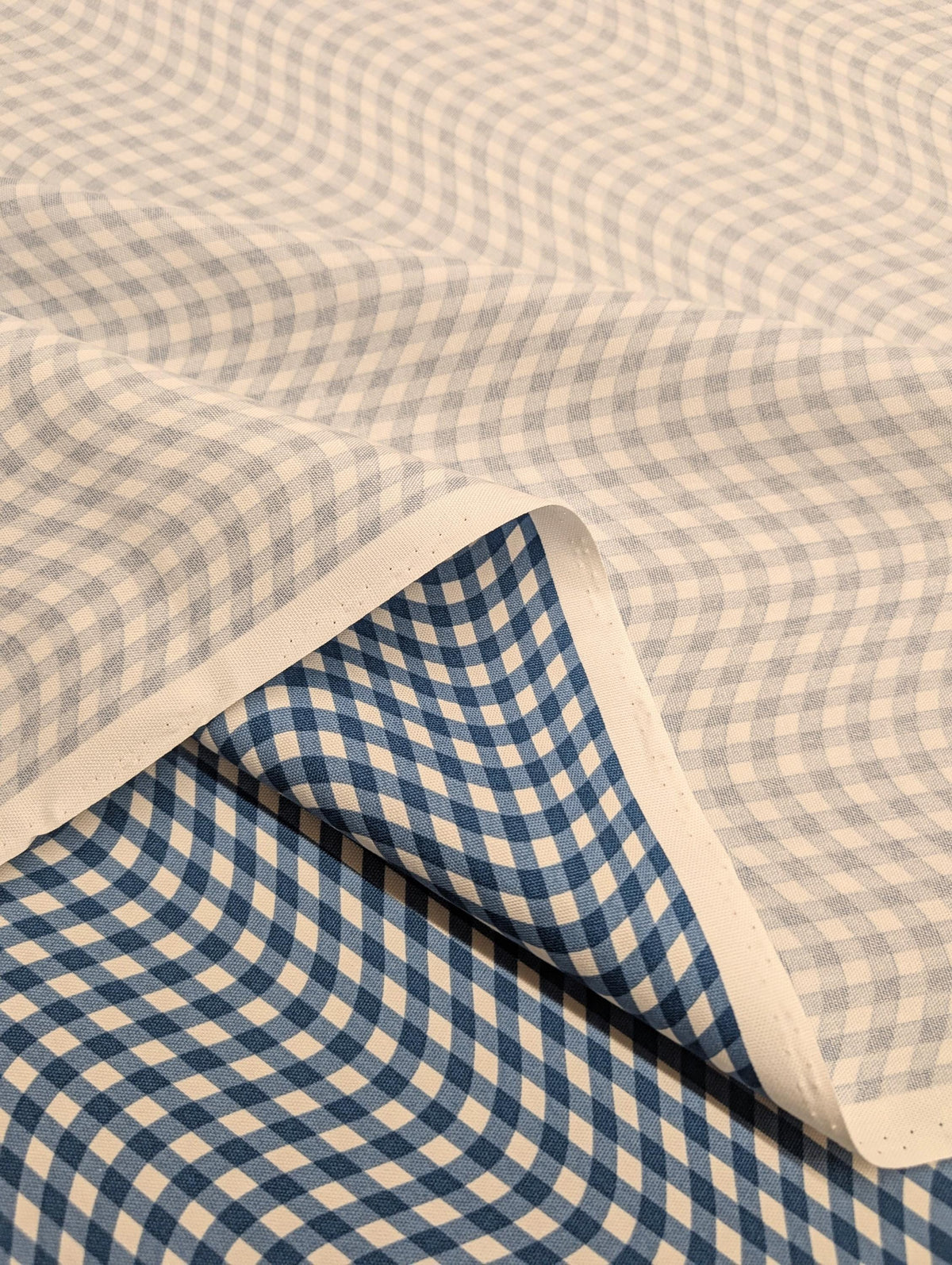 Hishiei - Warped Gingham Cotton Oxford Canvas - Blue