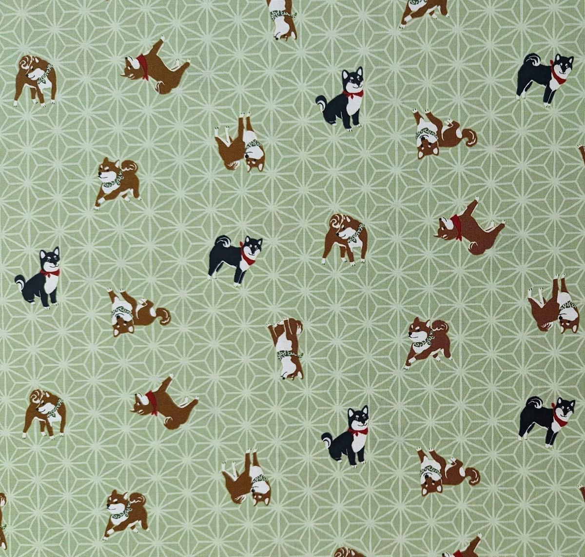 Hishiei - Asanoha Shibas Cotton Fabric - Green