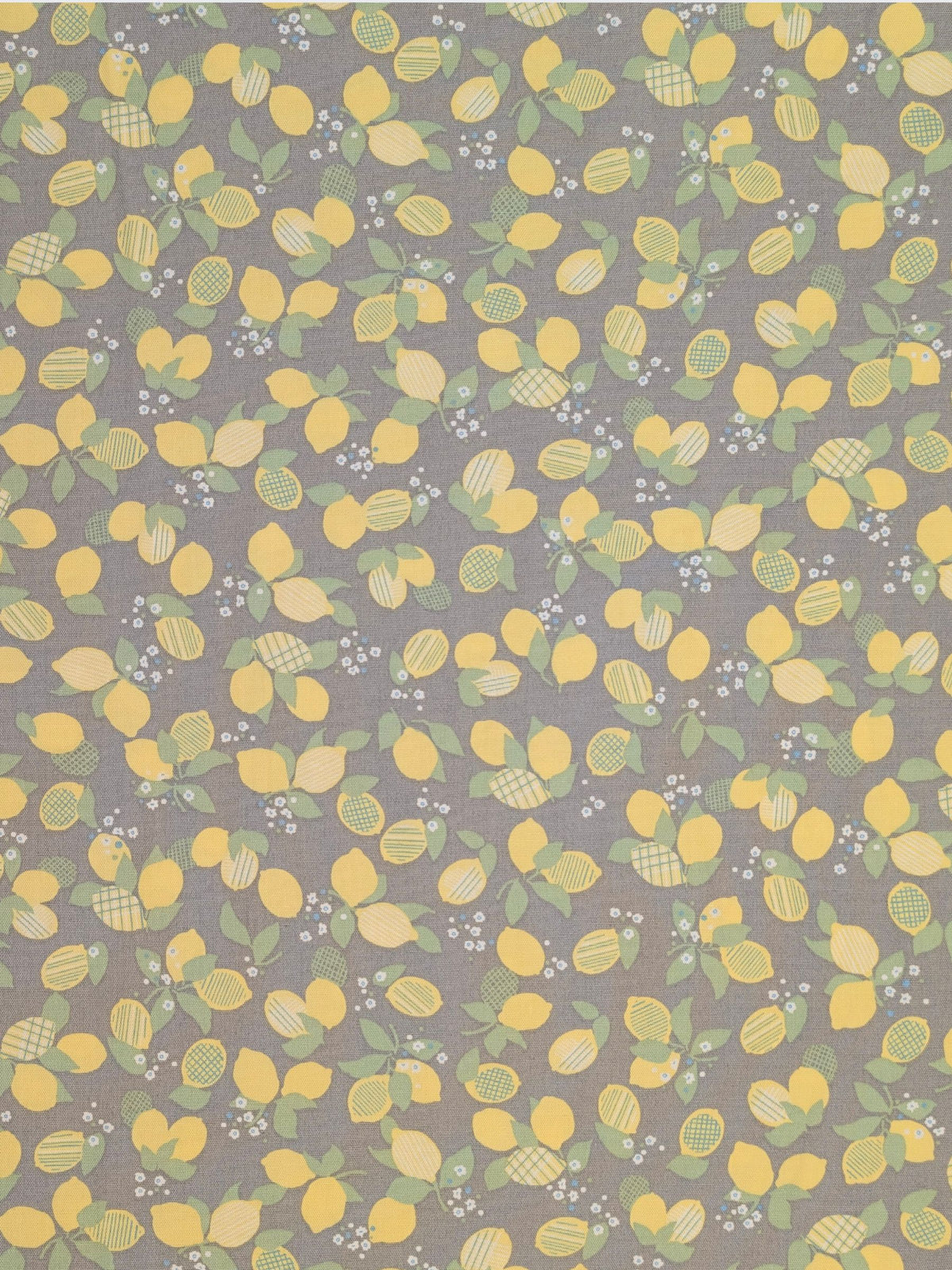 Koizumi - Lemon Bunches Cotton Oxford Fabric - Gray