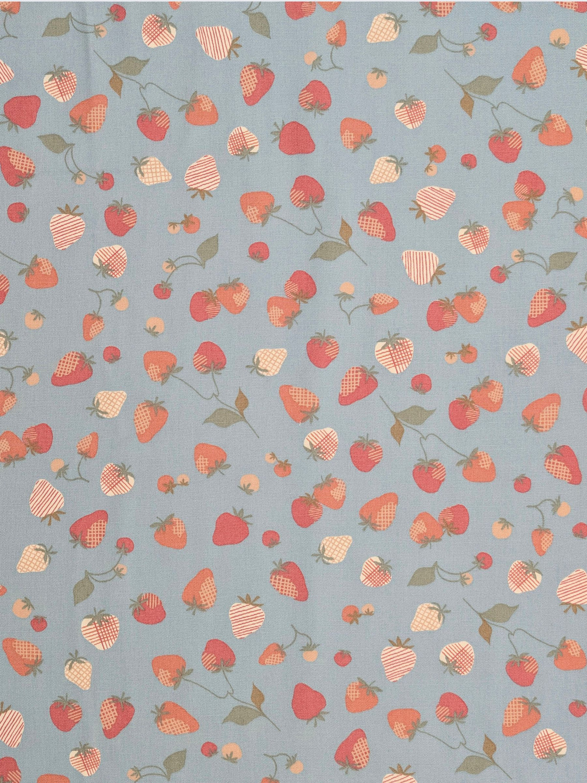 Koizumi - Summer Strawberries Cotton Oxford Fabric - Blue