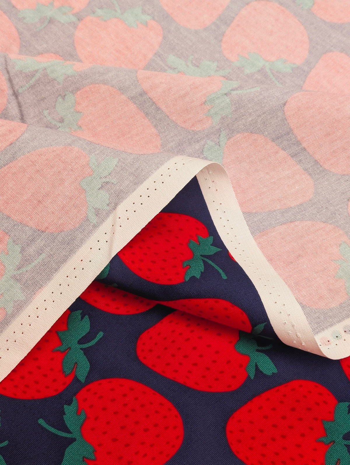 Sevenberry - Big Strawberries Oxford Canvas Cotton Fabric - Red & Blue