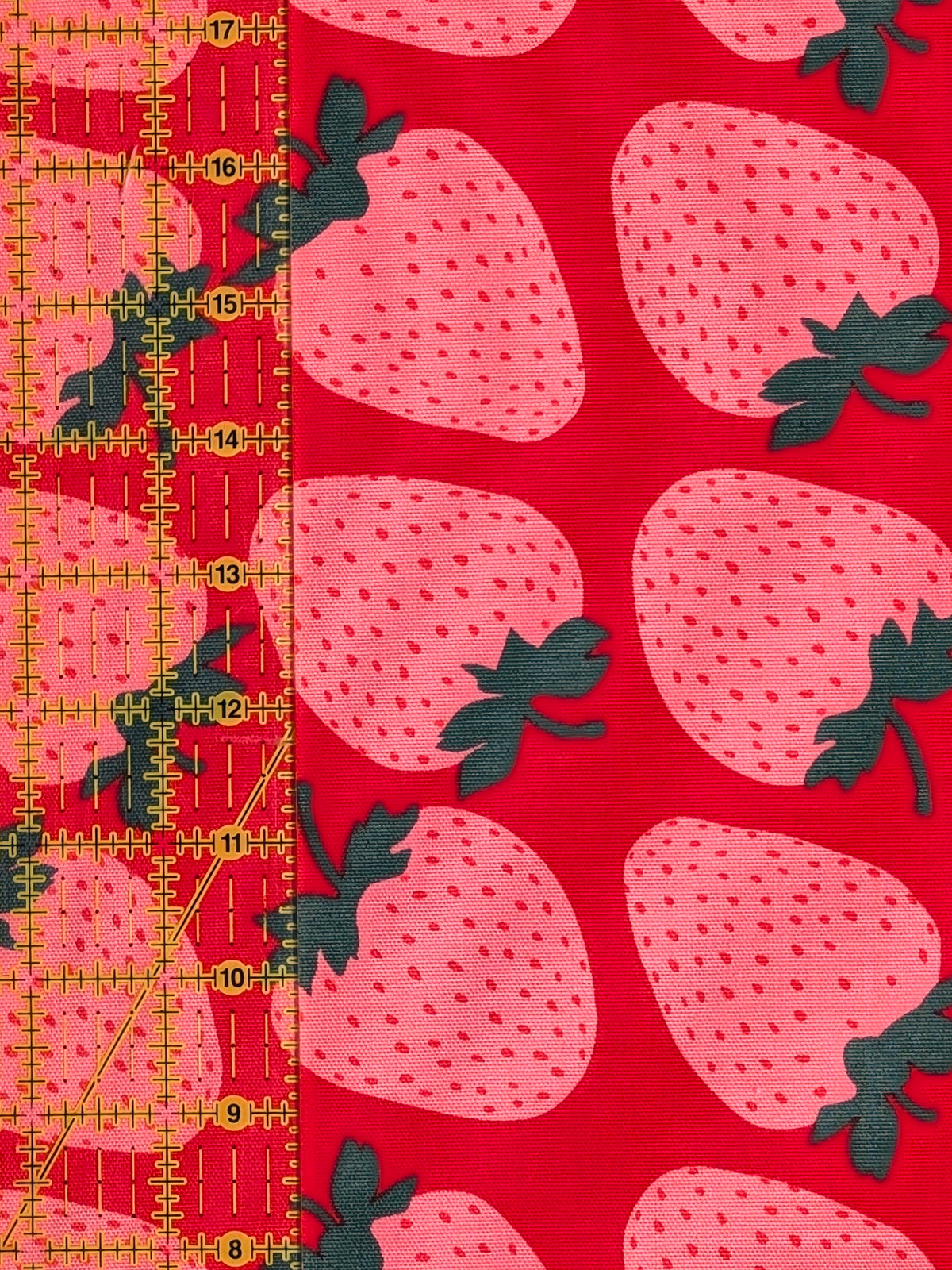 Sevenberry - Big Strawberries Oxford Canvas Cotton Fabric - Pink & Red