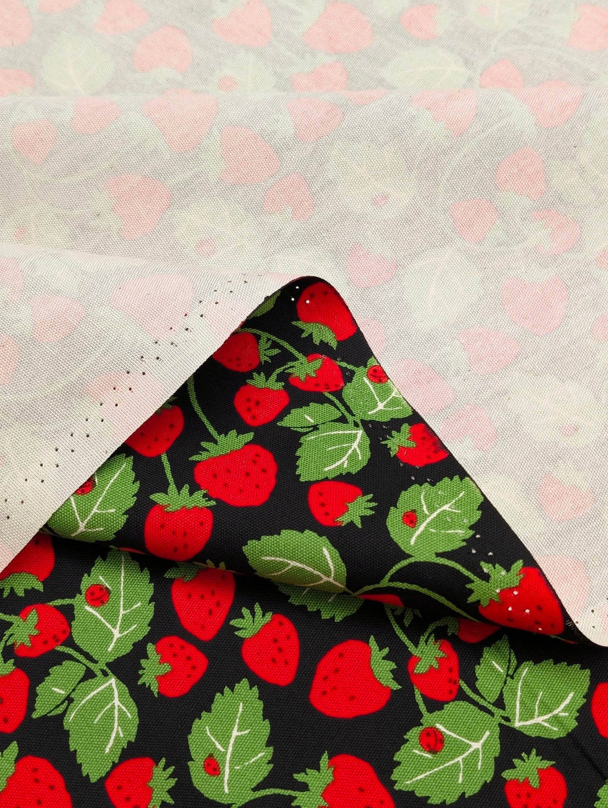 Sevenberry - Vining Strawberries Oxford Canvas Cotton Fabric - Red & Black