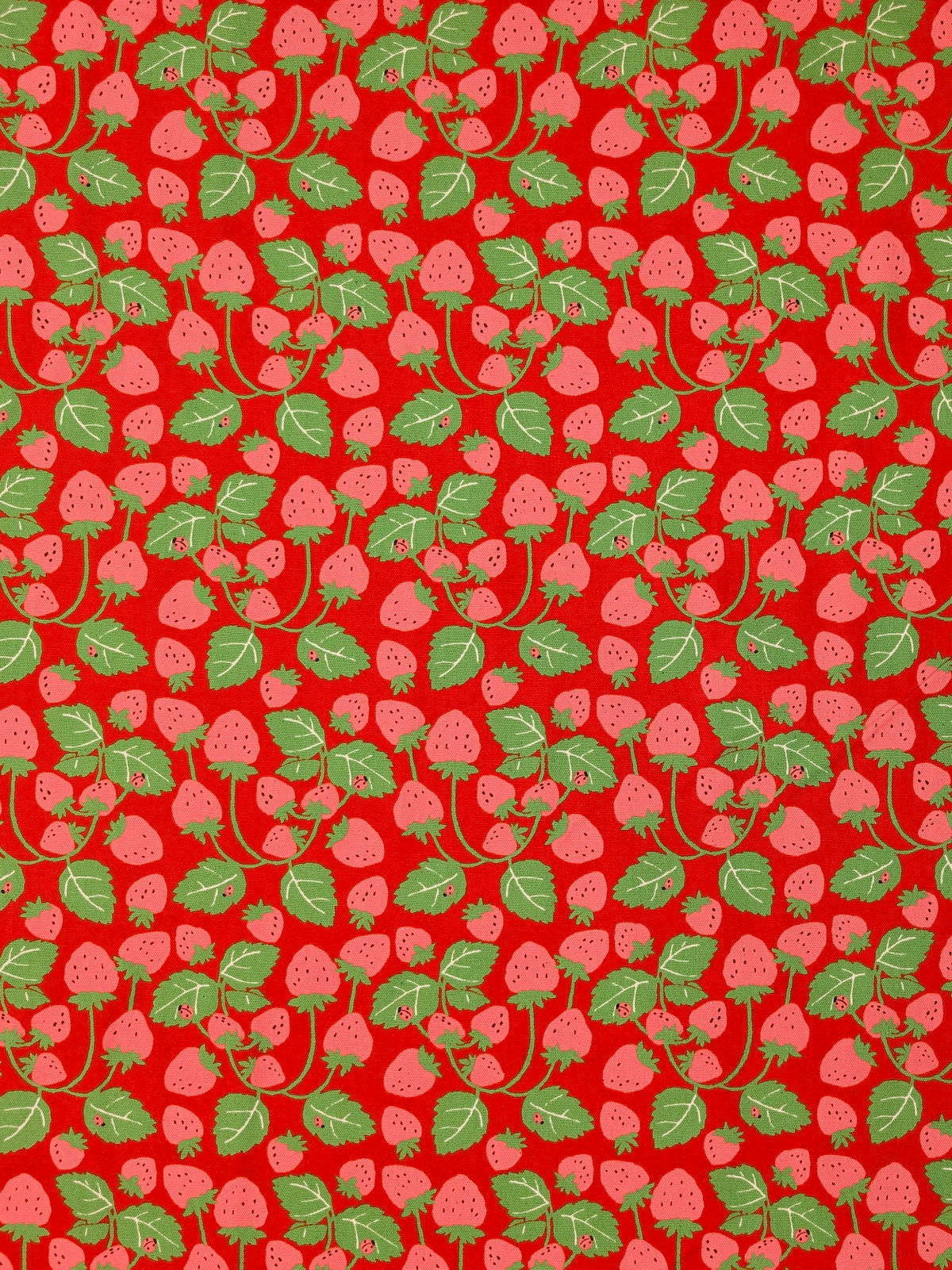Sevenberry - Vining Strawberries Oxford Canvas Cotton Fabric - Pink & Red