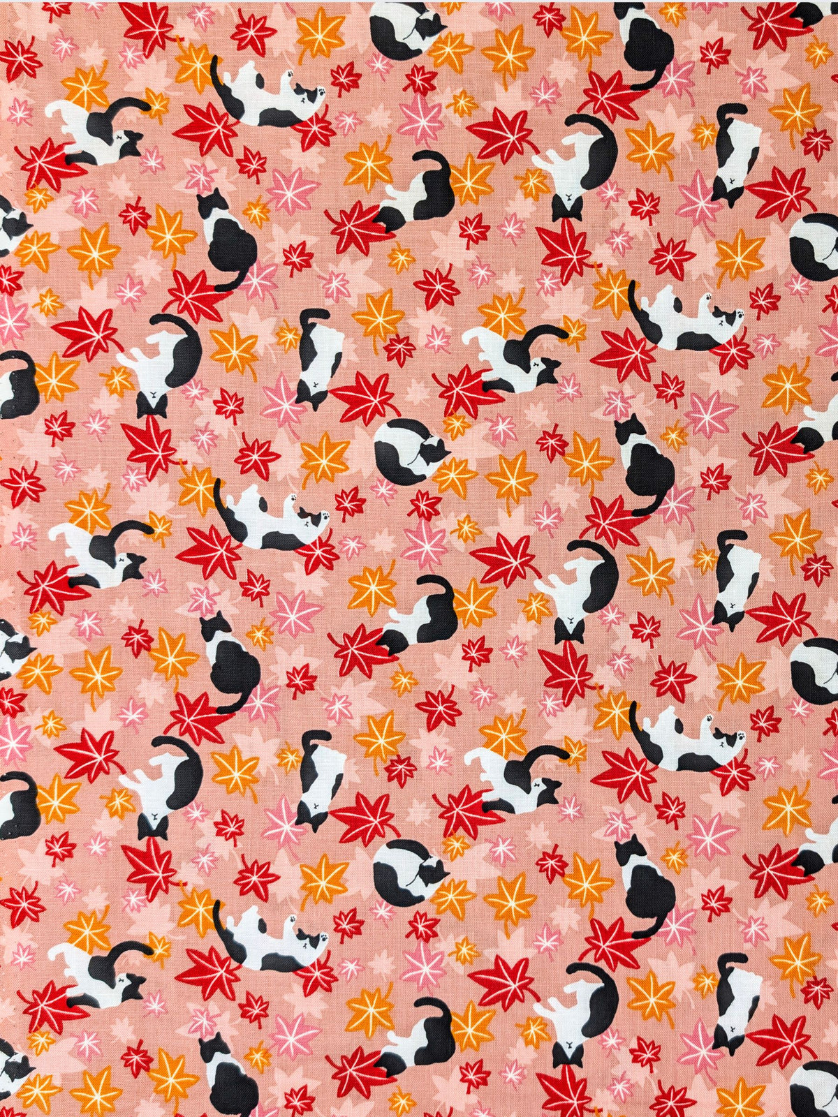 Cosmo - Maple Leaves & Cats Cotton Sheeting Fabric - Pink