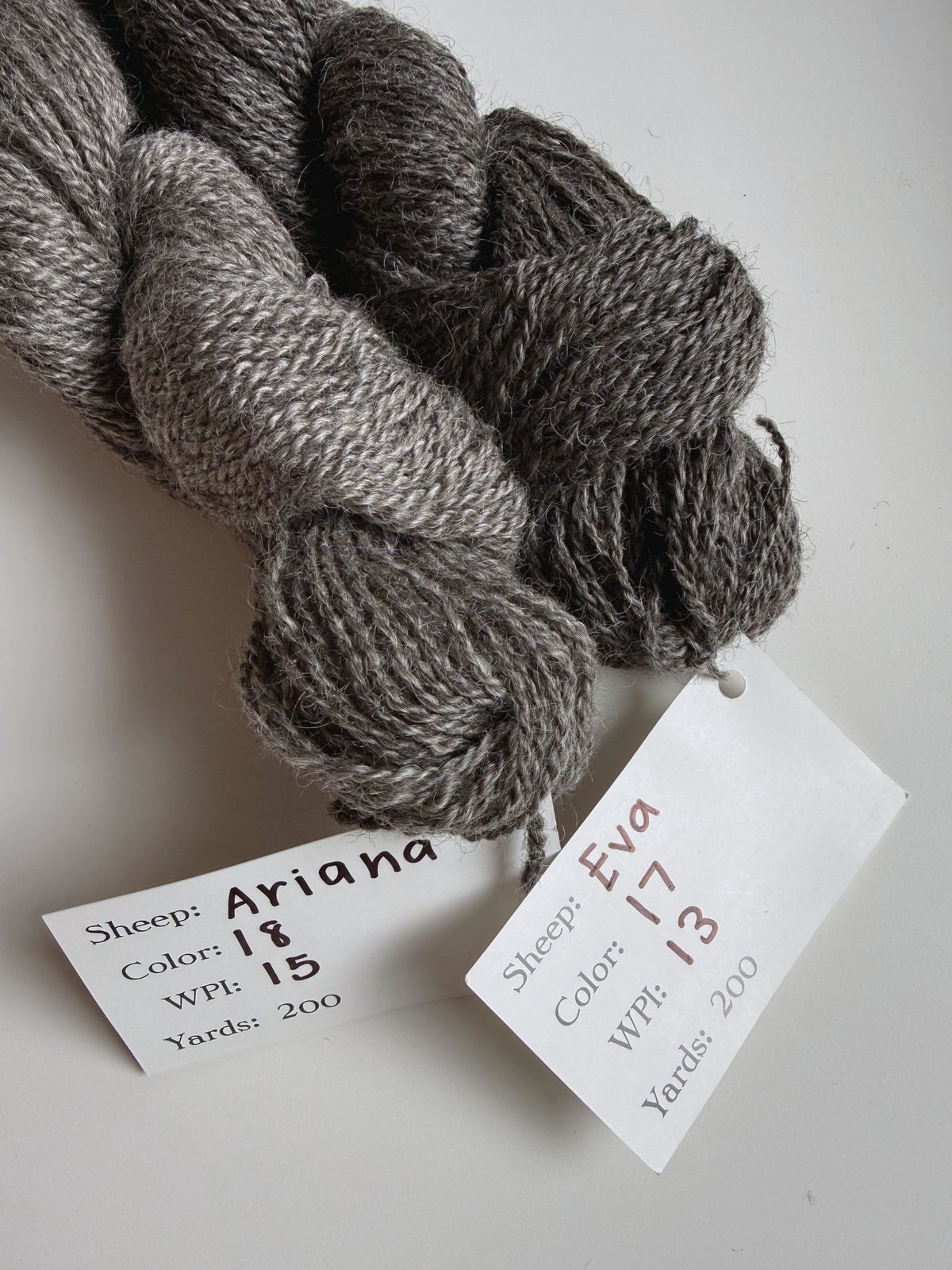 Spoiled Sheep - Leicester Longwool Wool Yarn 200yd - Ariana #18 Gray