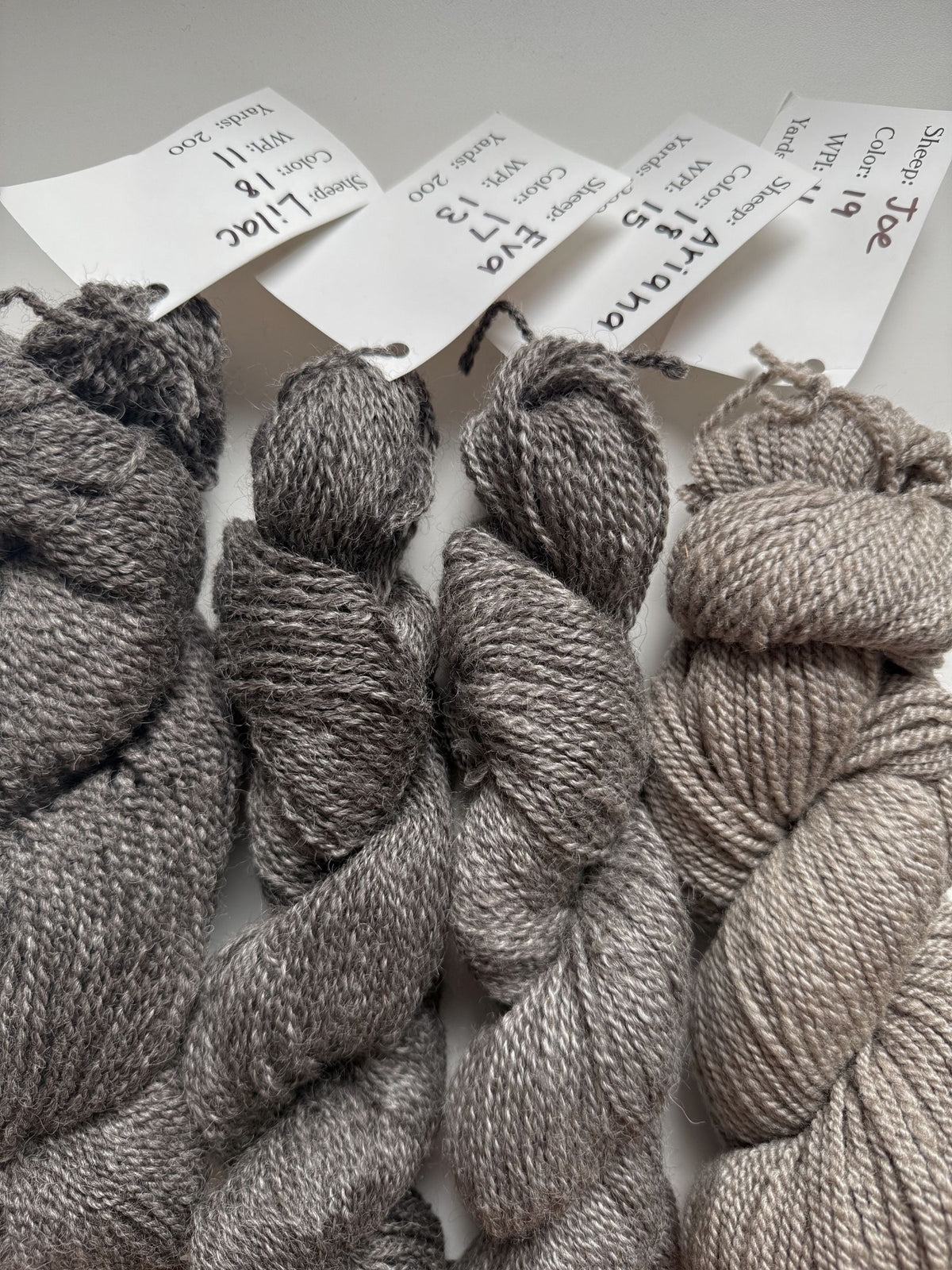 Spoiled Sheep - Leicester Longwool Wool Yarn 200yd - Ariana #18 Gray