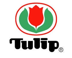 Tulip - Knina Swivel Circular Knitting Needles 24" (60cm) Cord - Bamboo