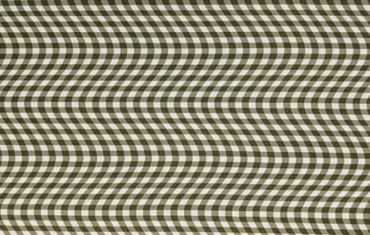 Hishiei - Warped Gingham Cotton Oxford Canvas - Green