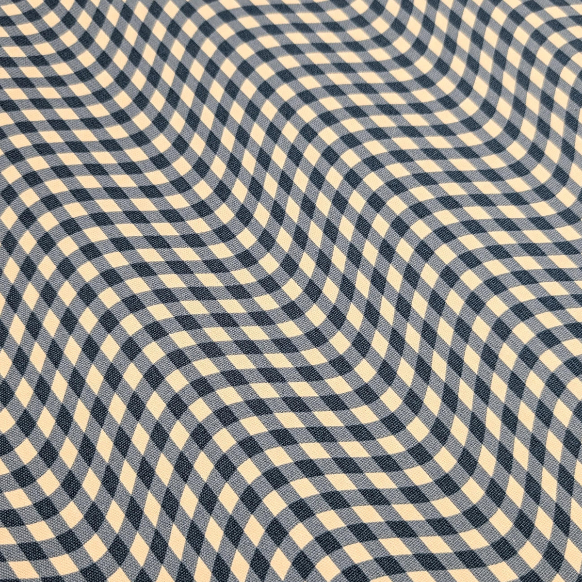 Hishiei - Warped Gingham Cotton Oxford Canvas - Blue