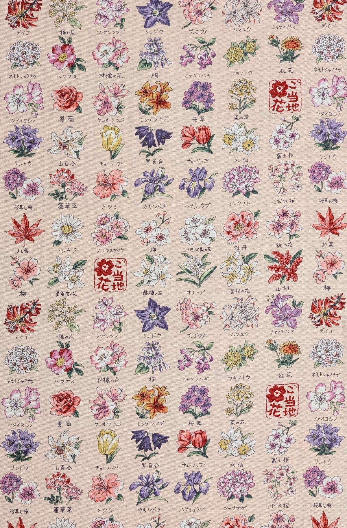 Kokka - National Flowers Cotton Oxford - Pink