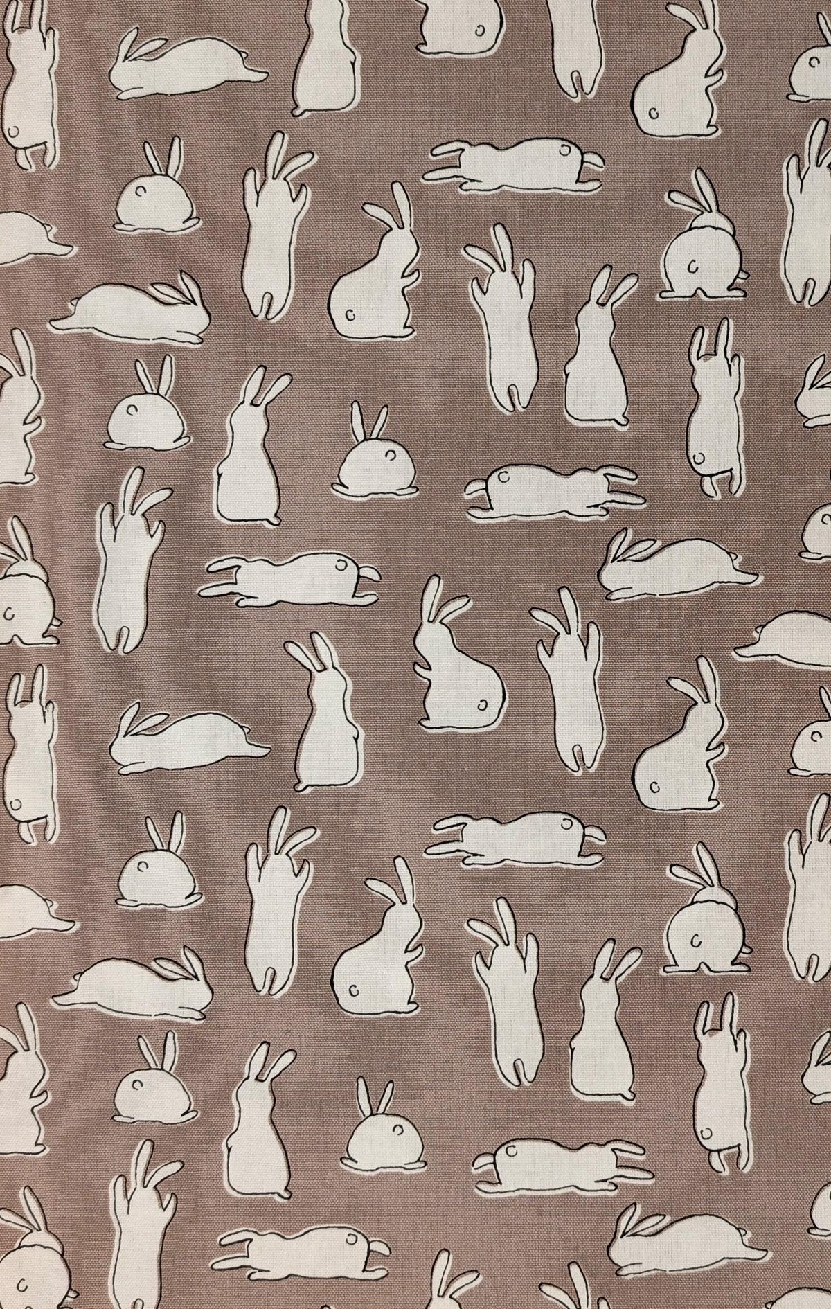 Hishiei - White Rabbits Cotton Oxford - Brown