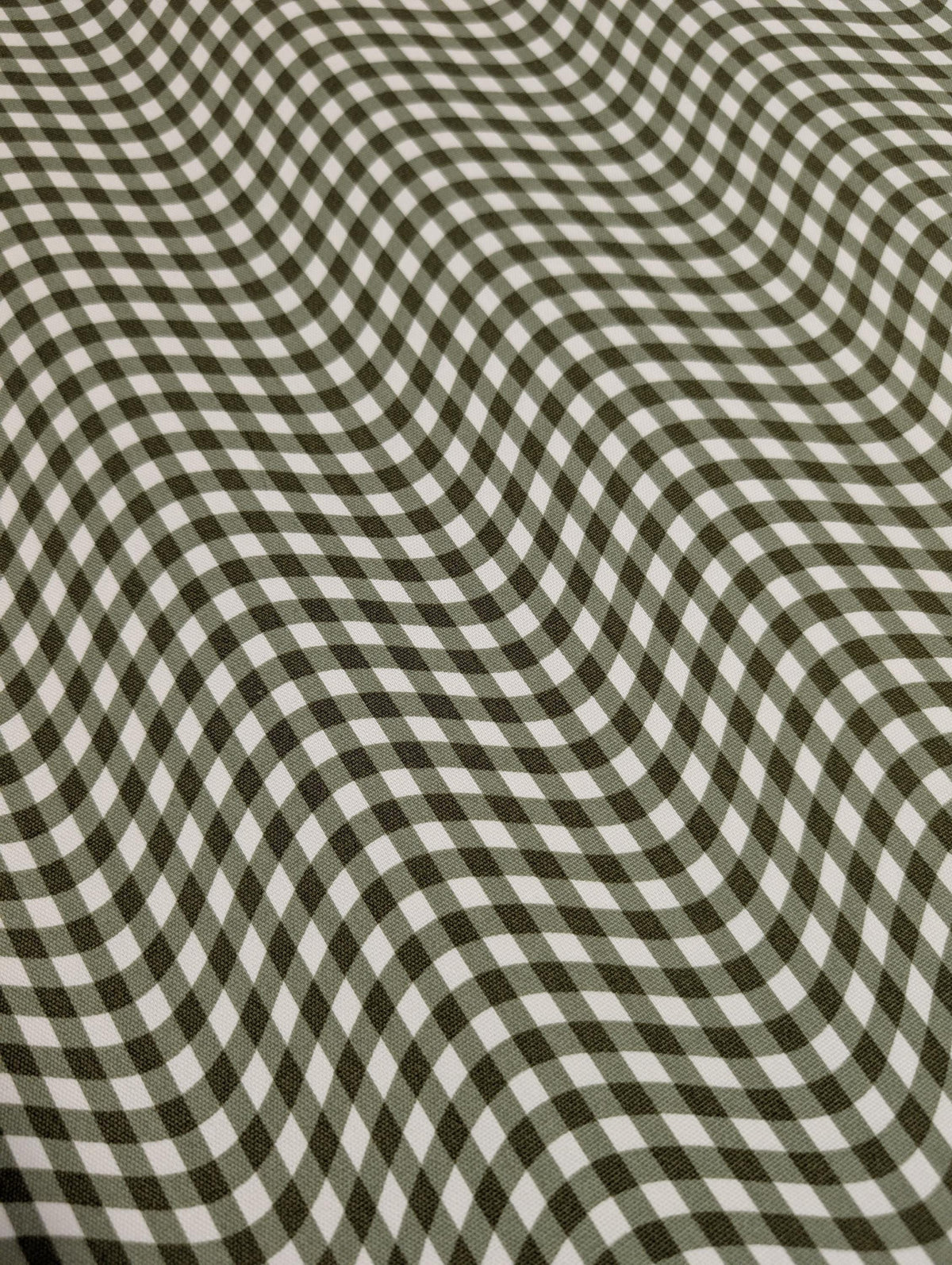 Hishiei - Warped Gingham Cotton Oxford Canvas - Green