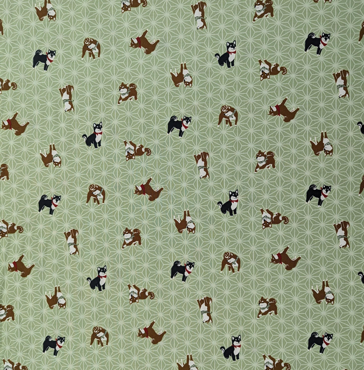 Hishiei - Asanoha Shibas Cotton Fabric - Green